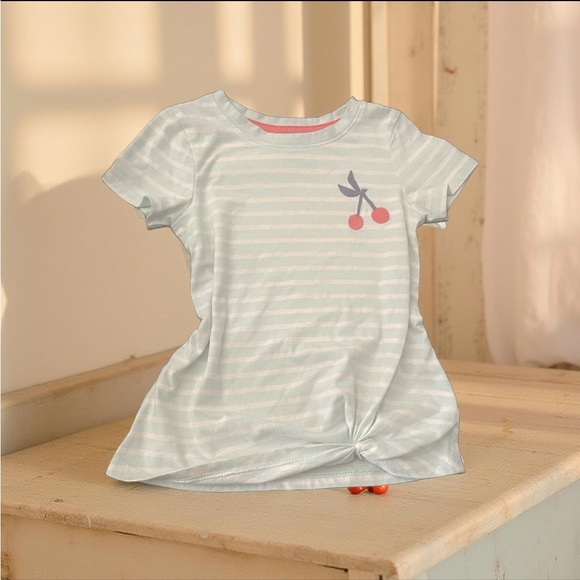 Striped Embroidered Shirt Denim & Gingham Shorts spring bundle Set Toddler Girl - Picture 2 of 13